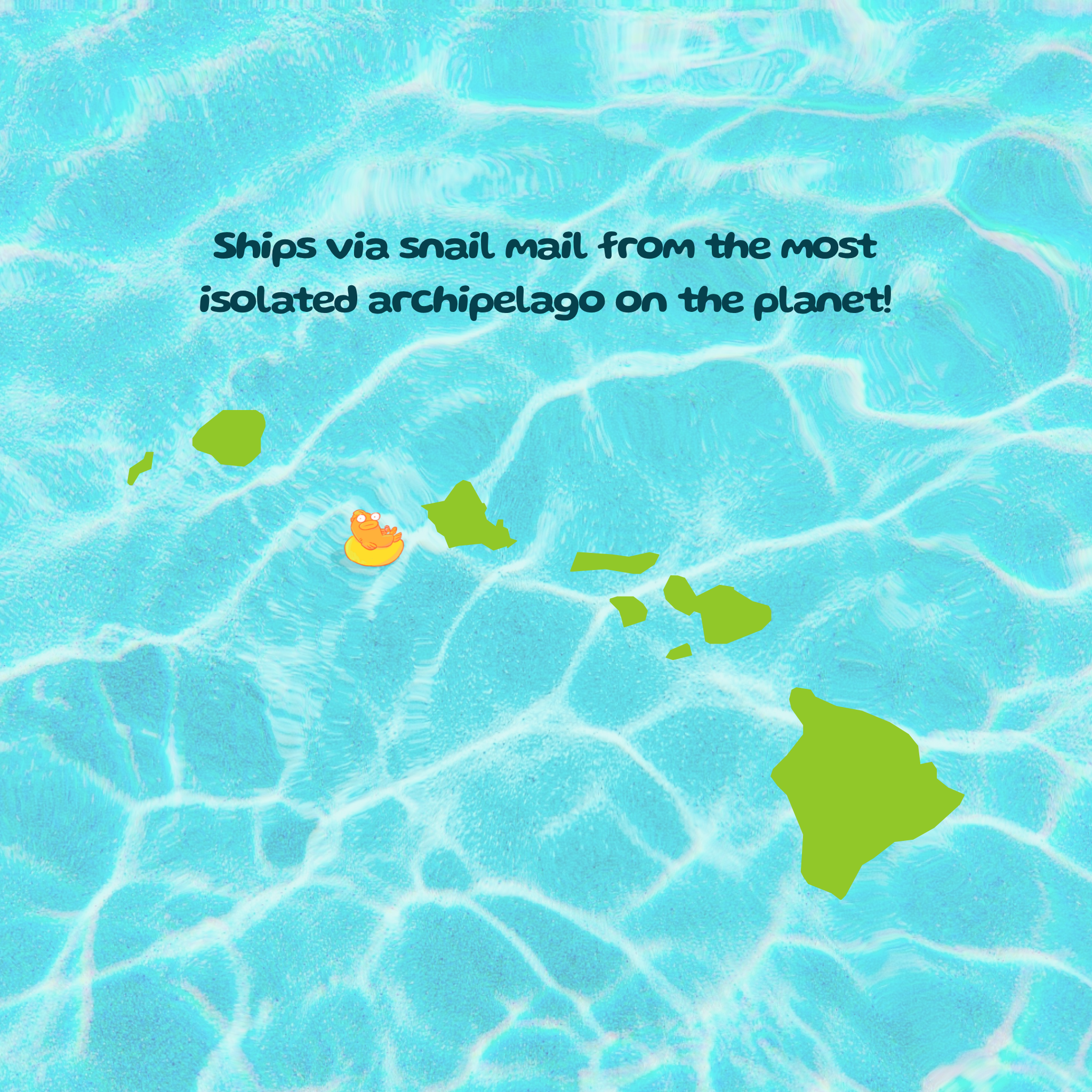 SurfJoy Mail Club