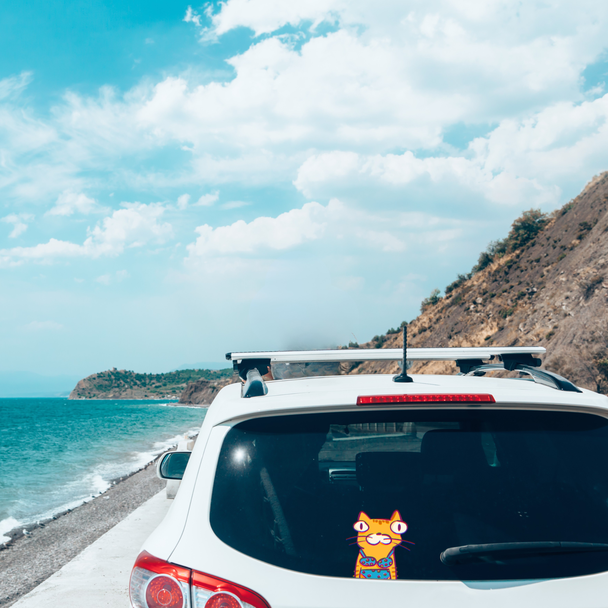 Car Pal Decal