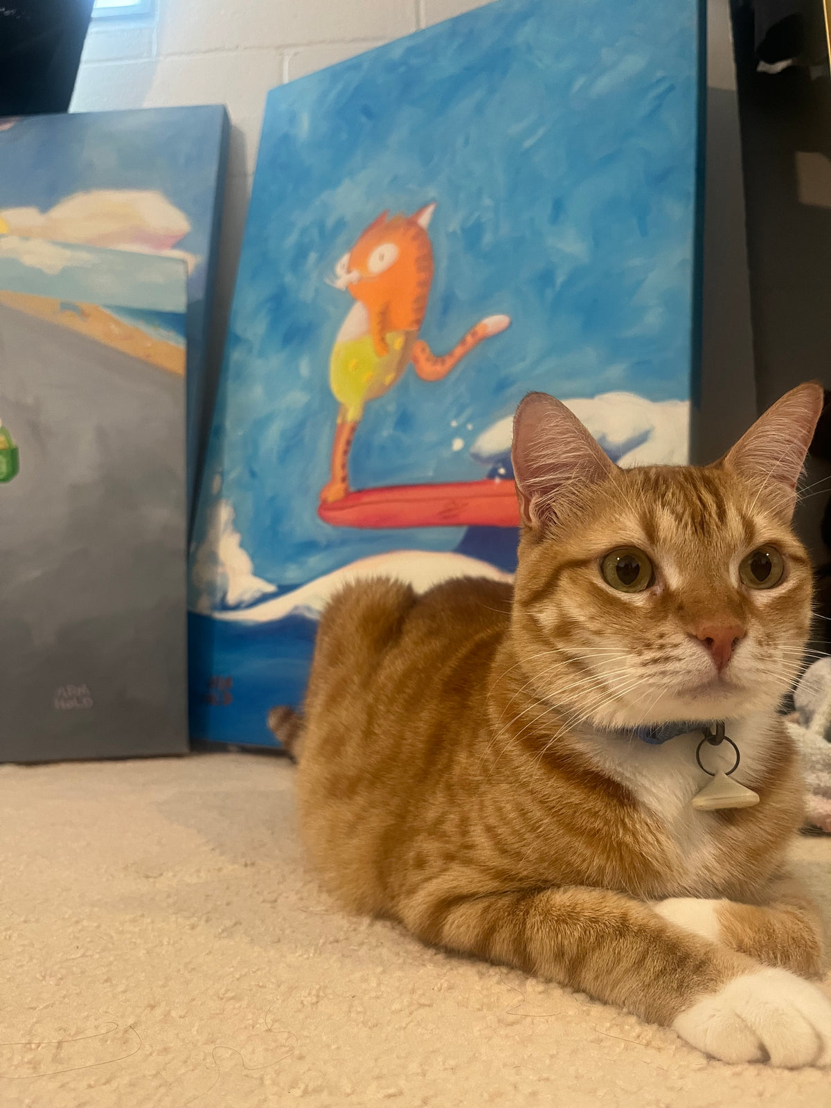 An orange tabby cat with white paws and a blue collar lies on a beige carpet in front of colorful paintings.